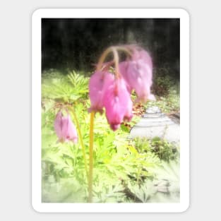 pink bleeding hearts #5 Sticker